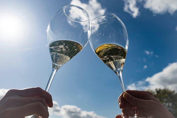 Unesco Champagne Experience from Reims (Private full day tour)