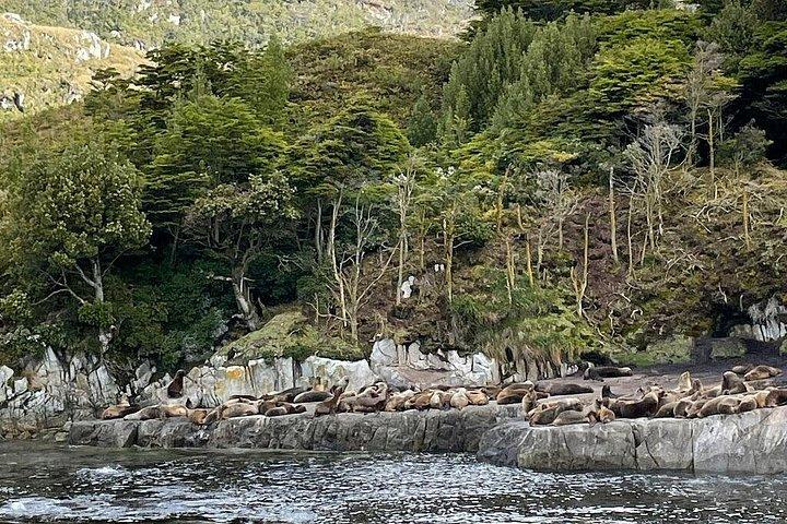 ホエールウォッチングと氷河プンタ・アレナス終日ボートツアー