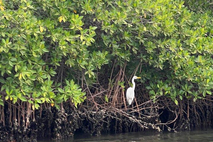 Bandia Reserve und Somone Lagoon Tagestour