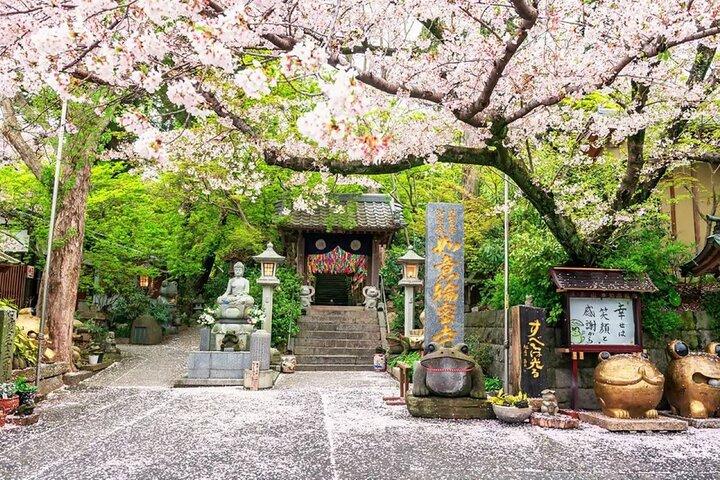 Fukuoka : Dazaifu Schrein, Beppu Seilbahn & Yufuin Landschaftliche Tagestour