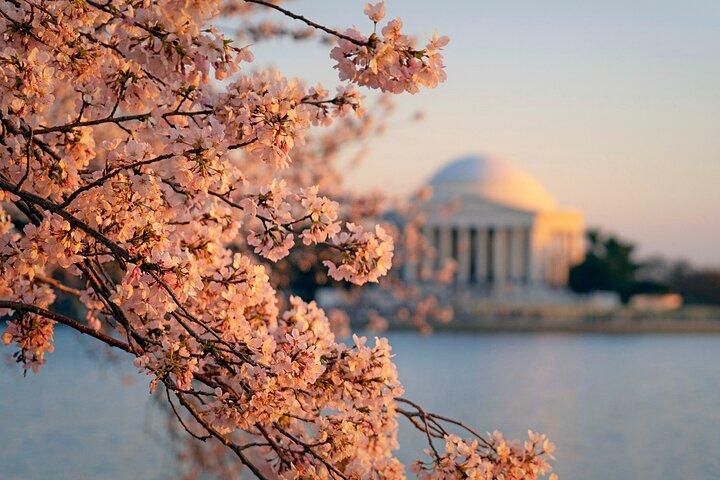 Excursión de 3 días de Chicago a Washington D.C.
