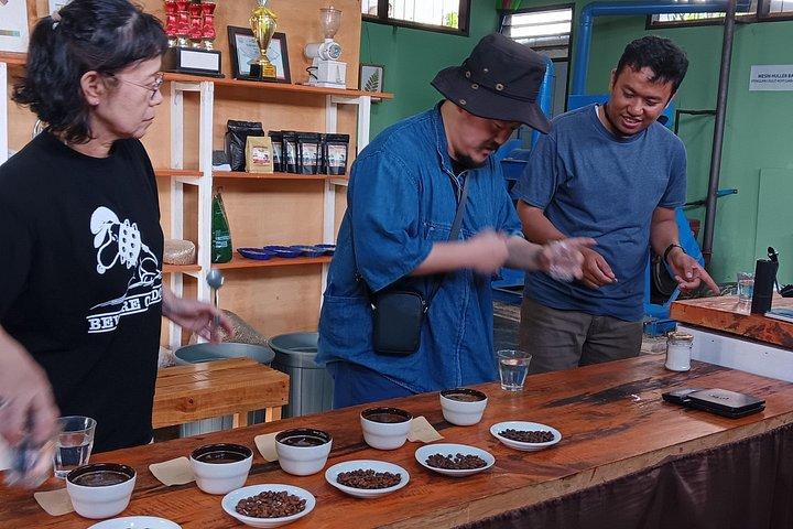 Sumatra Coffee Tour