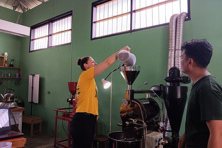 Sumatra Coffee Tour