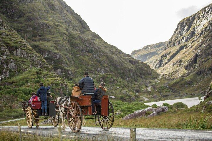 10 Day Wild Irish Experience Small Group Tour From Dublin