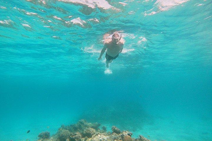 VIPオレンジベイ旅行（ランチ付き）