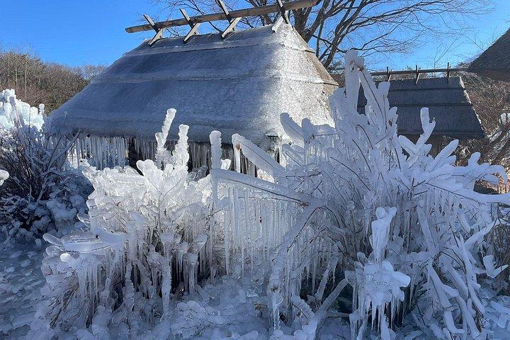 カスタマイズ可能な富士山プライベート日帰り旅行、英語を話すドライバー