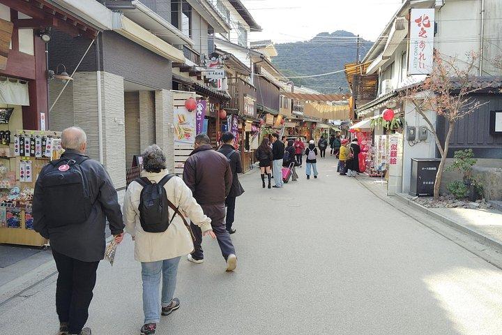 Hiroshima Highlights Guided Tour in 5.5 hours