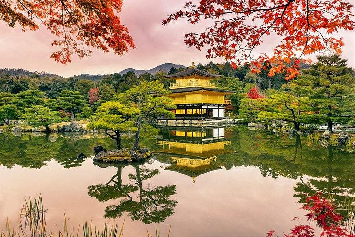大阪/京都： 勝王子・嵐山・金閣寺日帰りツアー