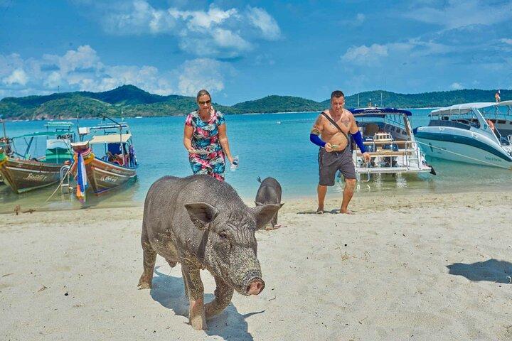 Pig Island Tour en hors-bord avec plongée en apnée