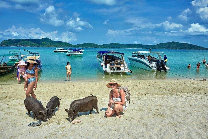 Pig Island Tour en hors-bord avec plongée en apnée