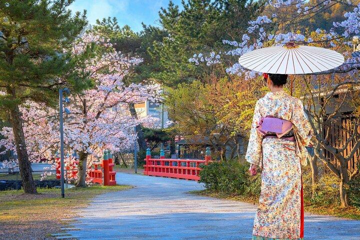 京都&奈良&宇治: 大阪または京都からの終日観光ツアー