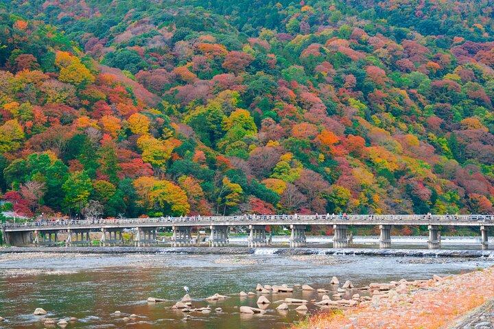 大阪・京都：嵐山・伏見稲荷・奈良公園日帰り