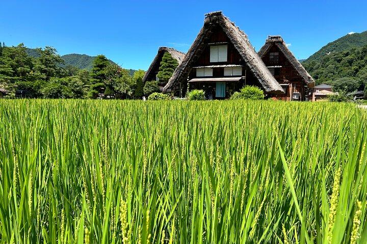 プライベートツアー金沢、白川郷、飛騨古川、高山
