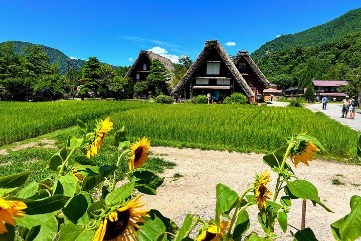 プライベートツアー金沢、白川郷、飛騨古川、高山