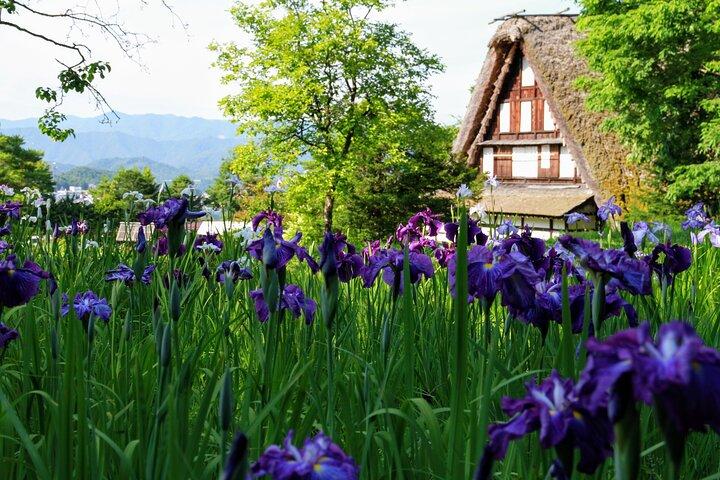 プライベートツアー金沢、白川郷、飛騨古川、高山