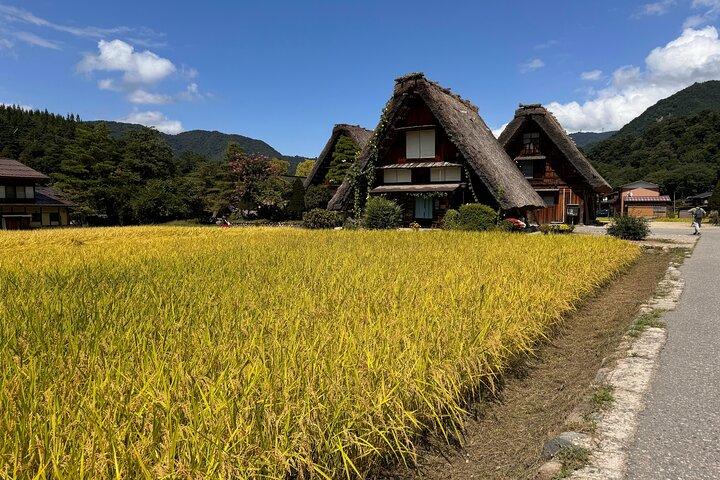 プライベートツアー金沢、白川郷、飛騨古川、高山