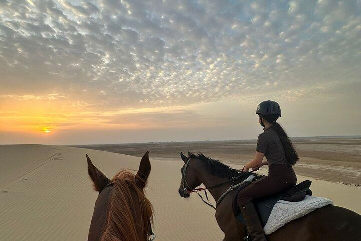 Doha Aventura árabe a caballo en el desierto con traslados