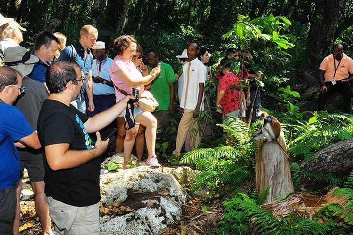 Zanzibar halve dagtrip op Jozani Forest