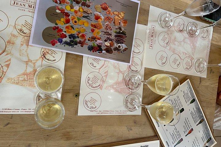 Gold Champagne Experience from Epernay (Private Full day tour)