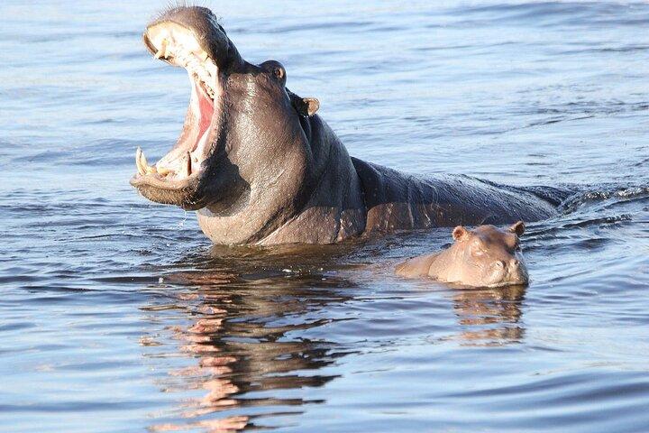1 Noche 2 Días Excursión nocturna a Mokoro Delta del Okavango