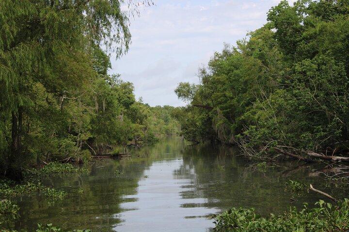 Excursion en bateau couvert
