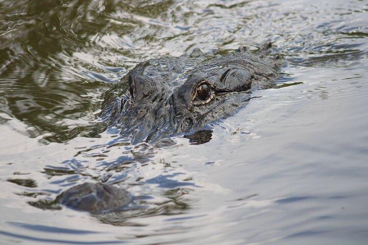 Excursion en bateau couvert