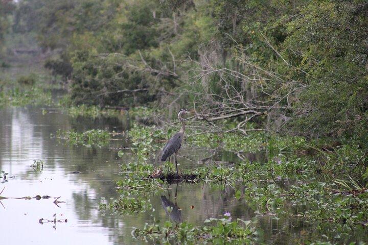 Excursion en bateau couvert