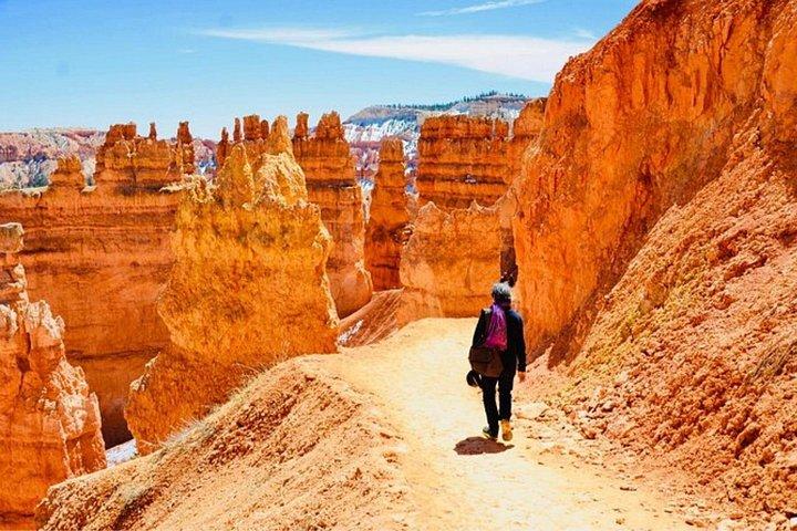 Zion, Bryce Canyon & Antelope 4-Day Tour