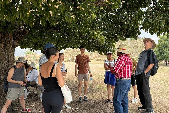 Tour de medio día a monte albán