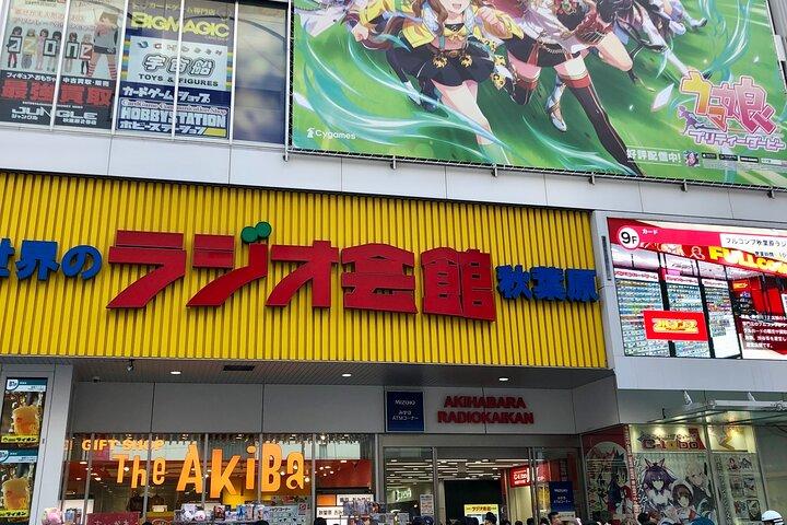 秋葉原プライベートウォーキングツアー～アニメ・ゲーム・オタク文化