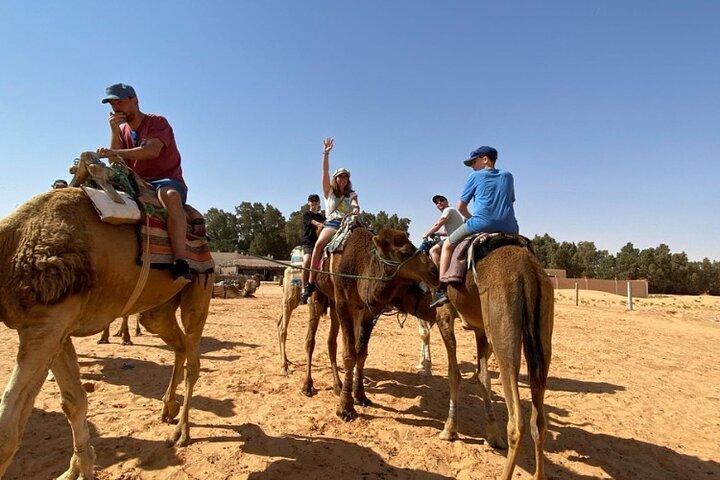 Vertrek vanuit Djerba Tweedaagse Safari Excursie Tozeur .