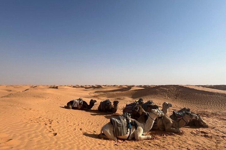 Vertrek vanuit Djerba Tweedaagse Safari Excursie Tozeur .