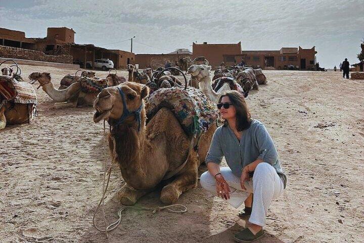 Deserto di Agafay: cammello e quad con cena Chouf L’Or