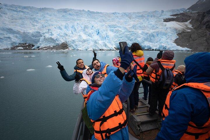 Avistamiento de Ballenas y Glaciares desde Punta Arenas Parque Francisco Coloane