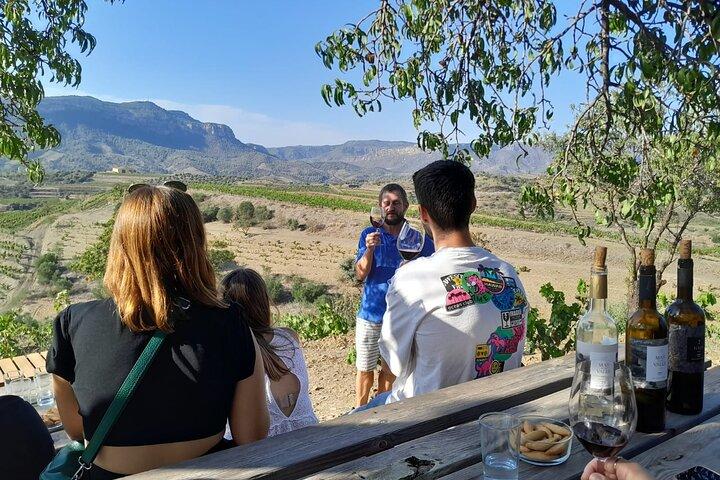 Tour Priorat a 3 piccole cantine e pick-up in hotel