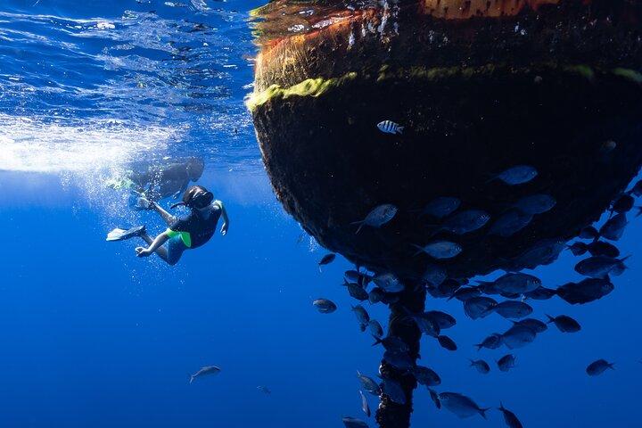 Safari e snorkeling sulla barriera corallina