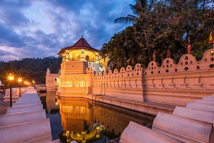 Vanuit Colombo: Dagtrip Kandy en Pinnawala