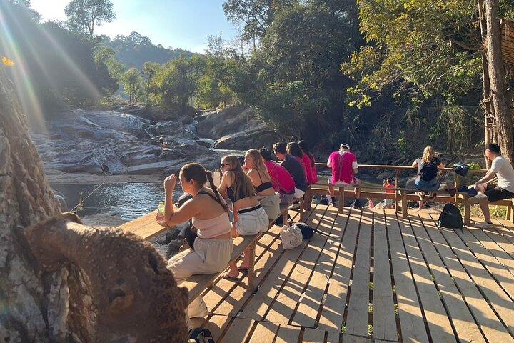 Chiang Mai: Thai Cooking Class and Elephant-Watching Tour