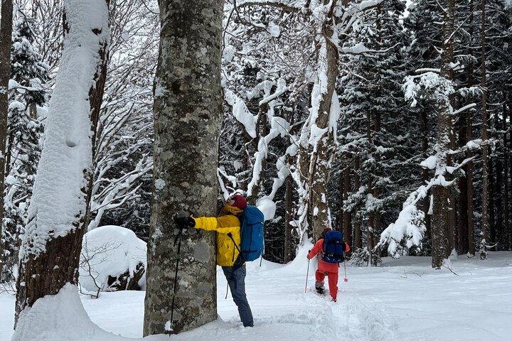Tour privado con raquetas de nieve y monos de nieve en Nagano
