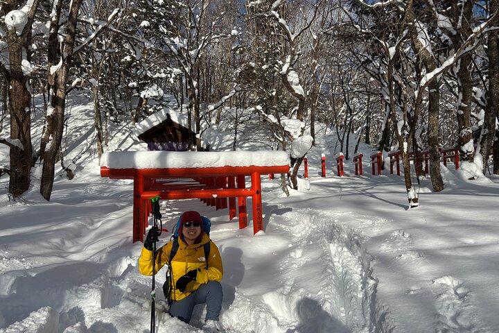 Tour privado con raquetas de nieve y monos de nieve en Nagano