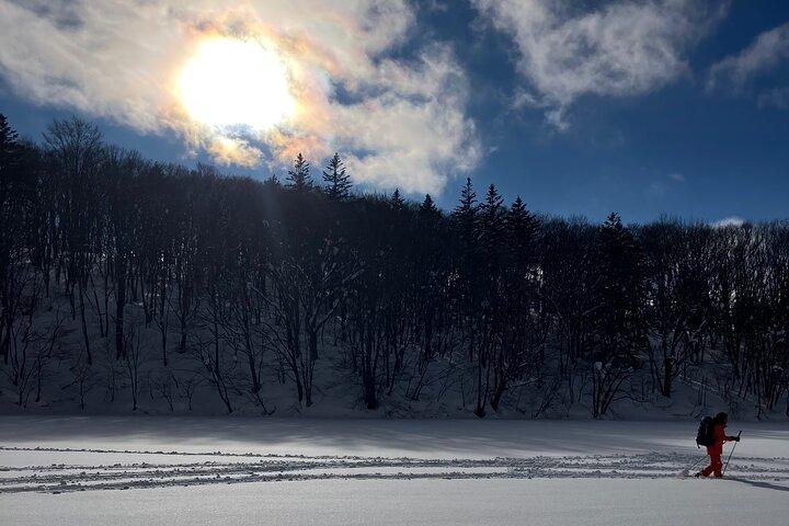 Tour privado con raquetas de nieve y monos de nieve en Nagano