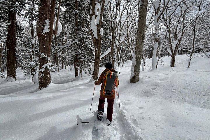 Tour privado con raquetas de nieve y monos de nieve en Nagano