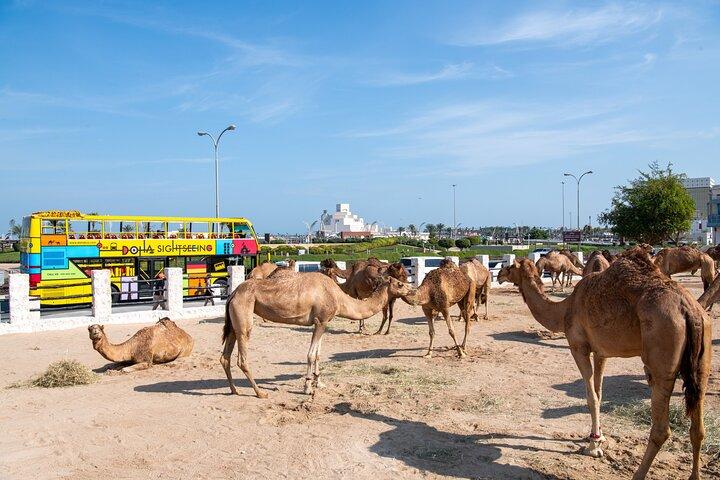 Passeio turístico hop on hop off em Doha