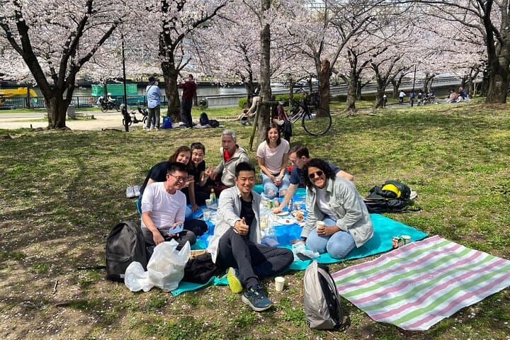 Sakura Picnic "Hanami" in Osaka - Spring Only