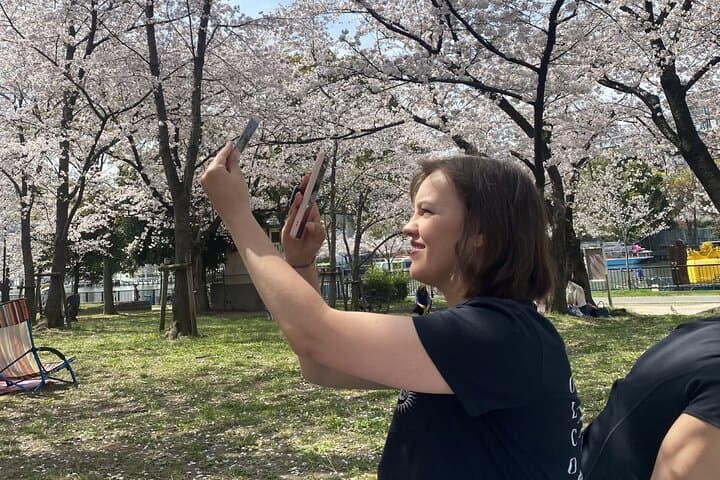 Sakura Picnic "Hanami" in Osaka - Spring Only