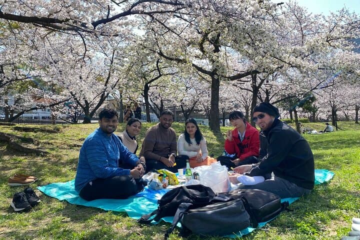 Sakura Picnic "Hanami" in Osaka - Spring Only