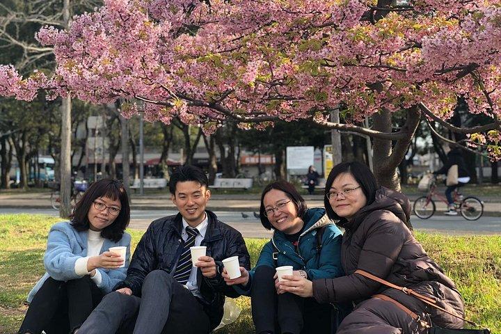 大阪の桜ピクニック「花見」春限定