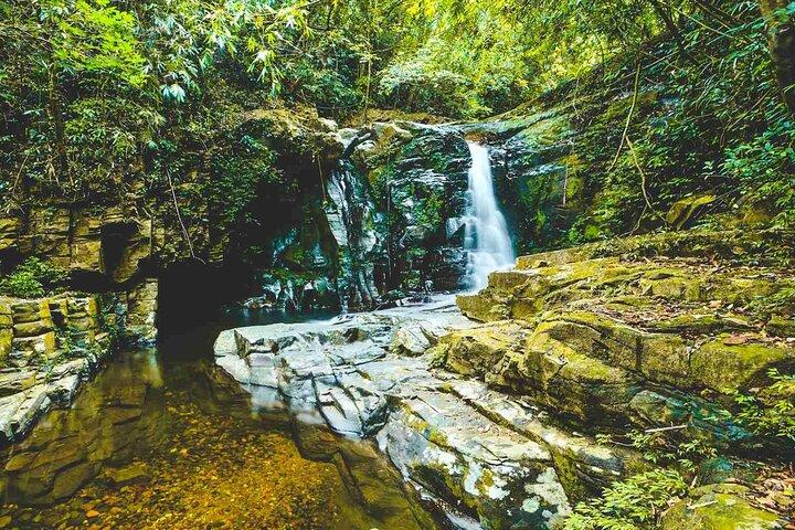 Excursión privada de un día al Parque Nacional Bach Ma desde Hue