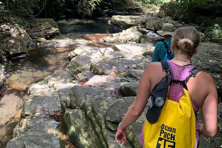 Excursión privada de un día al Parque Nacional Bach Ma desde Hue