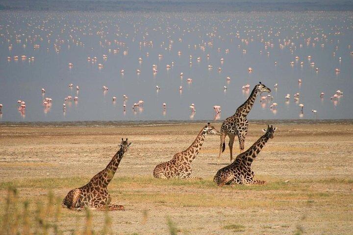 Nairobi Multi day Tour Explore Kenya